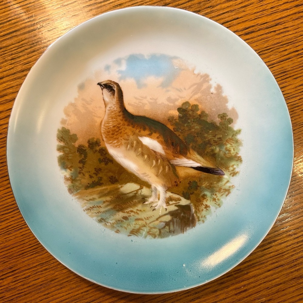Antique PM Porzellan Moschendorf Bavaria Hand Painted Porcelain Plate Grouse